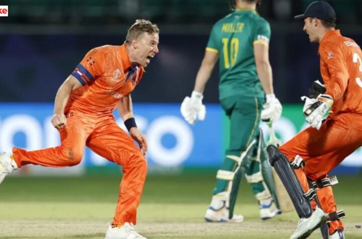 Netherlands National Cricket Team vs South Africa National Cricket Team match scorecard