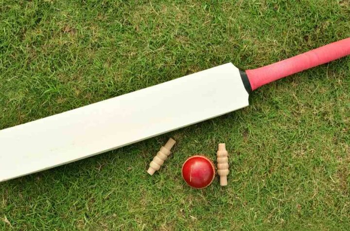 Most Expensive Bat In The World