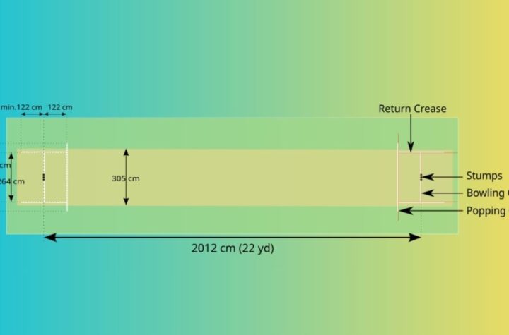 how many creases are there in cricket