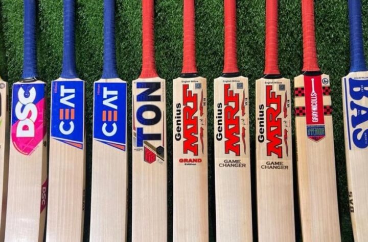 Cricket Bat Brands in India
