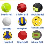 The Different Types of Ball